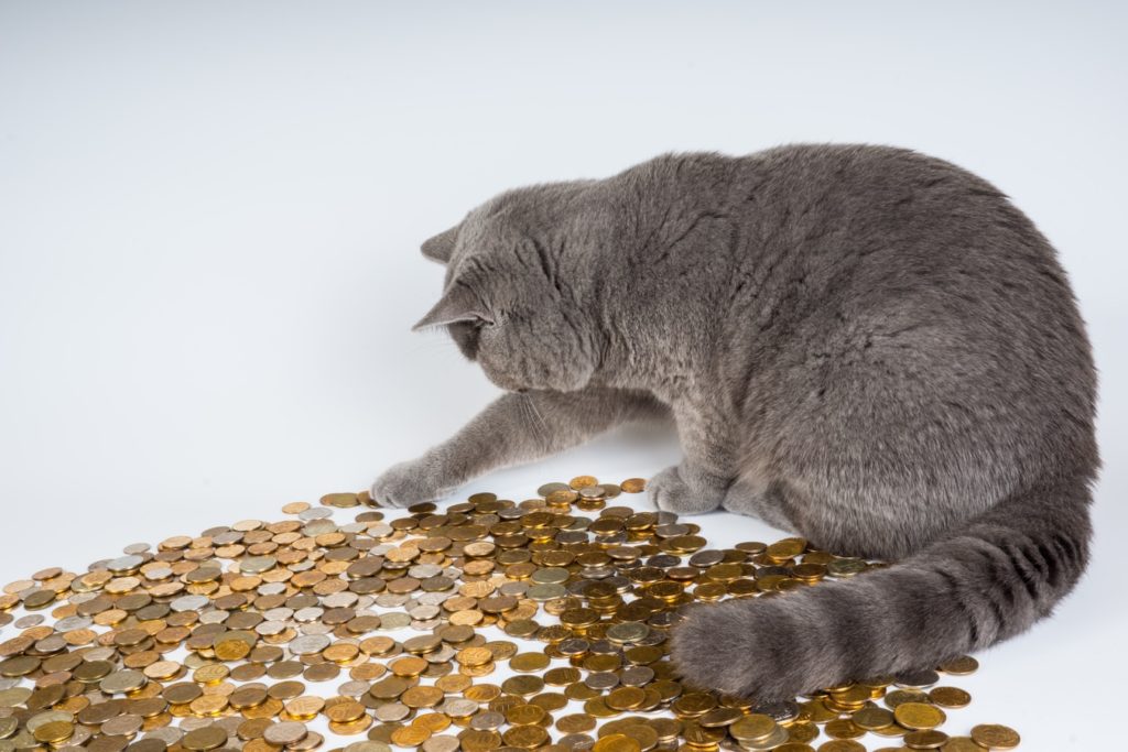 cat-pennies